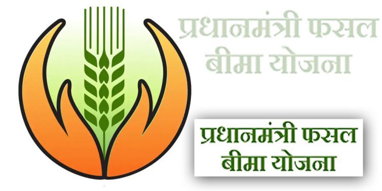 प्रधानमंत्री पीक विमा योजना : सुरक्षित पीक, सुखी शेतकरी