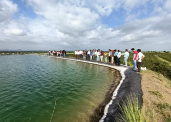 डाळिंब पिकाने घेतली उड्डाणे; आधुनिक शेतीचे गाव ‘सातमाने’