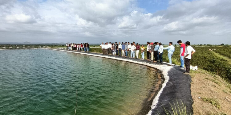 डाळिंब पिकाने घेतली उड्डाणे; आधुनिक शेतीचे गाव ‘सातमाने’
