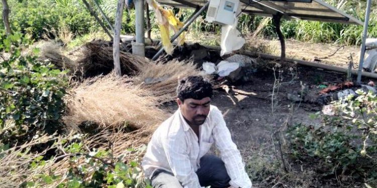 सौर कृषिपंपामुळे उंचावला शेतकऱ्याचा आर्थिक स्तर