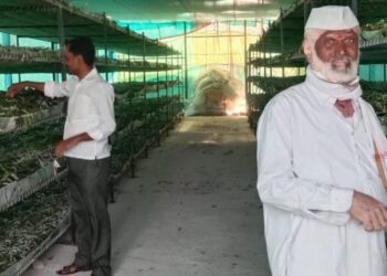 हमखास उत्पन्न देणाऱ्या रेशीम शेतीने उंचावले सौदागर पांडव यांचे जीवनमान