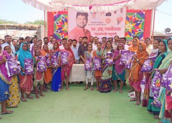 होळ तर्फे हवेली ग्रामपंचायतीच्या वतीने ग्रामस्थांना मोफत आनंदाच्या शिधेचे ॲड.राम रघुवंशी यांच्या हस्ते वाटप