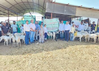 उत्तम व्यवस्थापनातून शेळीपालन फायदेशीर- डॉ. संजय मांडकमाले