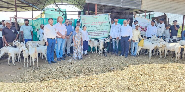 उत्तम व्यवस्थापनातून शेळीपालन फायदेशीर- डॉ. संजय मांडकमाले