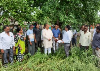 पालकमंत्री डॉ.विजयकुमार गावित यांनी केली अवकाळीग्रस्त भागाची पाहणी; तातडीने पंचनामे करण्याचे दिले प्रशासनाला निर्देश
