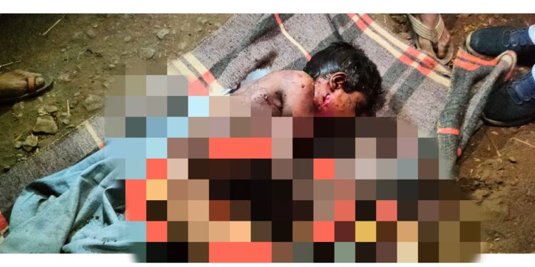 धक्कादायक घटना : नऊ वर्षीय बालकाला बिबट्याने अंगणातून उचलून नेत केले ठार