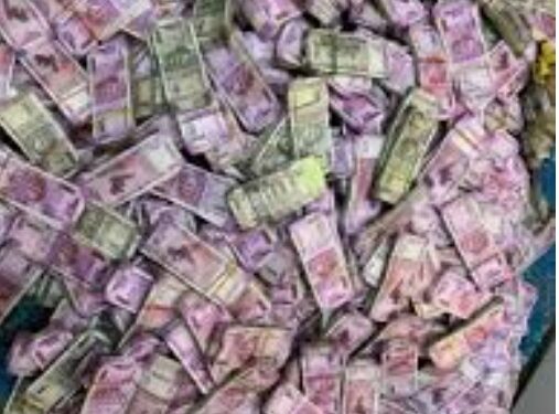 अबबब : तब्बल 21 लाखांची पैज,नंदुरबार शहरात दिवसभर होती चर्चा