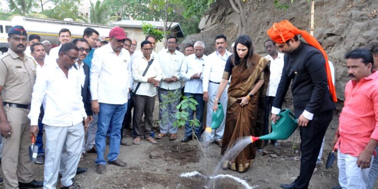नंदूरबार : अतिक्रमण काढलेल्या जागेवर केले वृक्षारोपण