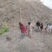 दरीत पडलेल्या इसमाला तब्बल 36 तासाहून अधिक काळानंतर बाहेर काढण्यात रेस्क्यू टीमला यश