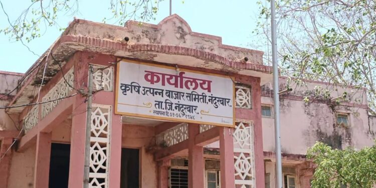 नंदुरबार कृषी उत्पन्न बाजार समिती सभापती, उपसभापतींची आज  निवड