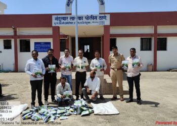 मोठ्ठी बातमी : बामडोद येथे चक्क नर्सरीतून मिळाले विनापरवाना बोगस कापूस बियाणे, दिड लाखाचा मुद्देमाल जप्त