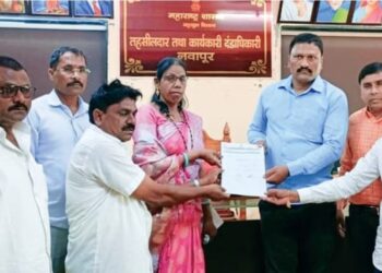 नवापूर तालुक्यातील रस्त्यांच्या कामांमध्ये अपहार, कारवाईची मागणी