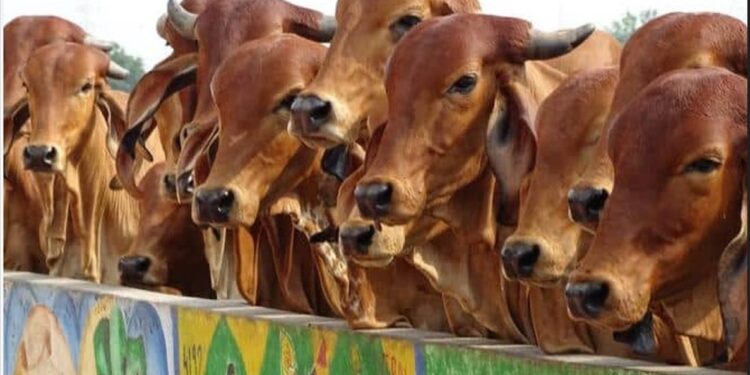गोवर्धन गोवंश सेवा केंद्र योजना