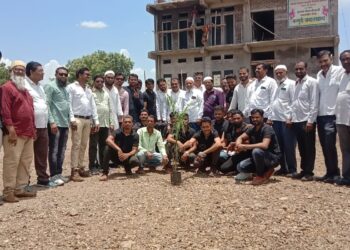 शहादा तालुका मंन्सुरी,पिंजारी युवा मंचतर्फे वृक्षारोपण