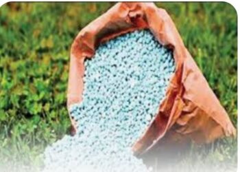 बियाणे, खते व किटकनाशके छापील किंमतीपेक्षा जास्त किंमतीने विक्रीच्या  तक्रारीसाठी नियंत्रण कक्षाची स्थापना