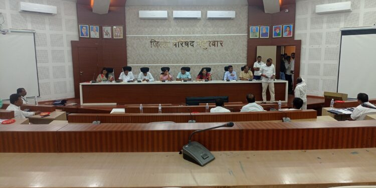 नवापूर तालुक्यातील बोगस रस्त्यांच्या कामाबाबत स्थायी सभेत जि. प.सदस्य आक्रमक