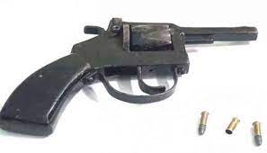 अक्राळे येथे अवैध गावठी बनावटीच्या पिस्टल व चार काडतूससह एकास अटक