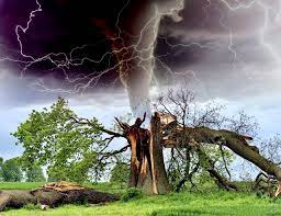 वीजेपासून बचावासाठी संजीवनी; संकटापासून सतर्कतेसाठी ‘दामिनी’