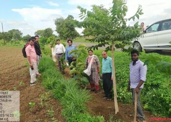 रस्ता दुतर्फा वृक्ष लागवड कामांचे उपजिल्हाधिकारी गोविंद दानेज यांनी केली पाहणी