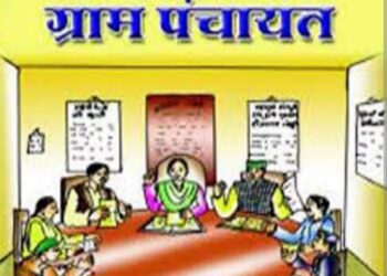 ग्रामपंचायतीत दोन उपसरपंच निवडीसाठी पठ्याने केली थेट मुख्यमंत्र्यांकडे मागणी