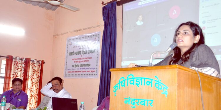 नाबार्डच्या माध्यमातून जिल्हा विकासाच्या प्रगतीपथावर :  जिल्हाधिकारी मनीषा खत्री