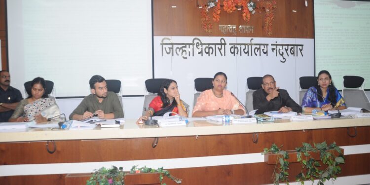 दुर्गम भागातील पावसाळी आपत्तीचे समन्वयाने नियोजन करा : पालकमंत्री डॉ. विजयकुमार गावित