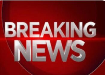 तहसीलदार पुलकित सिंग पुन्हा ॲक्शन मोड मध्ये, शेकडो क्विंटल धान्य जप्त करीत अनेक दुकाने केली सिल