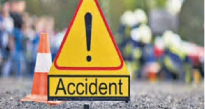 पोलीस वाहनाचा अपघात, पोलीस निरीक्षकासह दोन जण जखमी