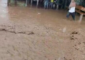 मुसळधार पावसामुळे काही गावांचा संपर्क तुटला