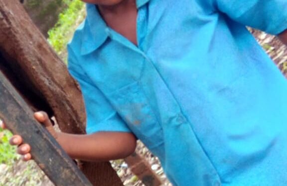 तोरणमाळ आश्रम शाळेतील विद्यार्थ्यांचा मृत्यूने खळबळ, मुख्याध्यापकसह कर्मचाऱ्यांवर चौकशी करून कारवाईची मागणी