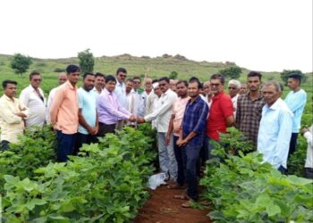 वैदाणे येथे कापूस पिकावरील गुलाबी बोंडअळी नियंत्रणा बाबत मार्गदर्शन