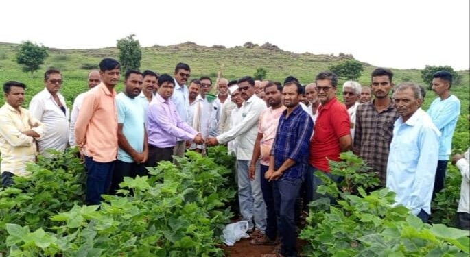 वैदाणे येथे कापूस पिकावरील गुलाबी बोंडअळी नियंत्रणा बाबत मार्गदर्शन