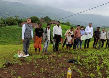 नमामि सातपुडा अभियानांतर्गत देवबारा येथे वृक्षारोपण