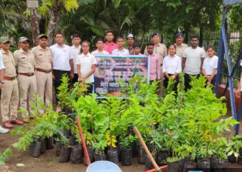 रासेयोतर्फे ‘मेरी माटी मेरा देश’ सप्ताहात 325 वृक्षांची लागवड