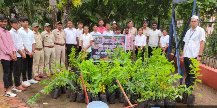 रासेयोतर्फे ‘मेरी माटी मेरा देश’ सप्ताहात 325 वृक्षांची लागवड