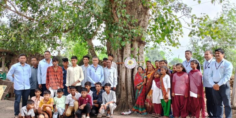 भाबलपूर शाळेत वृक्षाला राखी बांधून विद्यार्थ्यांनी दिला पर्यावरण रक्षणाचा संदेश