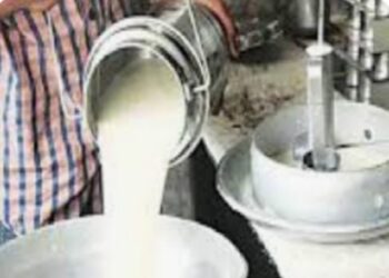 प्रशासन सज्ज :आता दुध भेसळ करणाऱ्यांविरुद्ध होणार दंडात्मक कारवाई