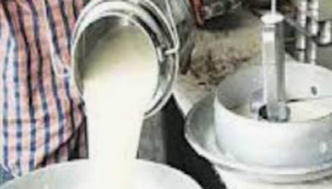 प्रशासन सज्ज :आता दुध भेसळ करणाऱ्यांविरुद्ध होणार दंडात्मक कारवाई