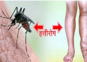 नवापुर तालुक्यात हत्तीरोग नियंत्रणासाठी सामुदायिक औषधोपचार मोहिम सुरु