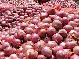 राज्यातील २ लक्ष मेट्रिक टन कांदा नाफेडने खरेदी करण्याचा निर्णय ऐतिहासिक