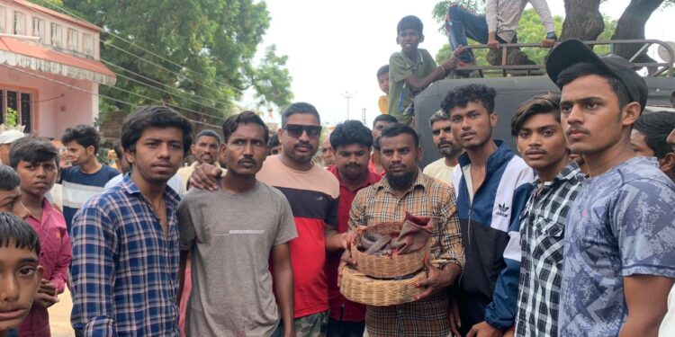 आक्राळे येथून मदारी कडुन साप घेतला ताब्यात