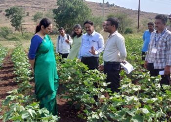 संभाव्य टंचाईच्या पार्श्वभूमीवर जिल्हाधिकारी मनीषा खत्री थेट शेतकऱ्यांच्या बांधावर