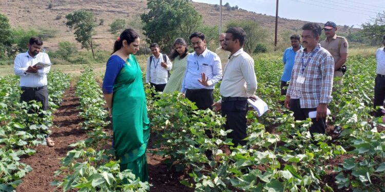संभाव्य टंचाईच्या पार्श्वभूमीवर जिल्हाधिकारी मनीषा खत्री थेट शेतकऱ्यांच्या बांधावर