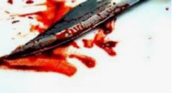 प्रियकराला हाताशी धरत पतीचा पत्नीने केला खून