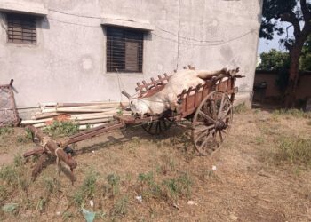 लंपी आजारामुळे जिल्हयात गोवर्गीय पशुंची बाजारपेठ बंद