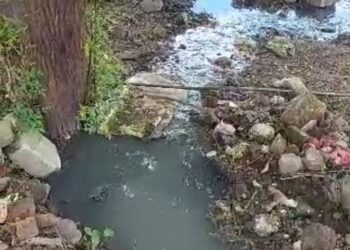 नंदूरबार शहरातील सहारा टाऊन ,शुभम पार्क येथे घाणीचे साम्राज्य ,न.पा प्रशासनाचे दुर्लक्ष