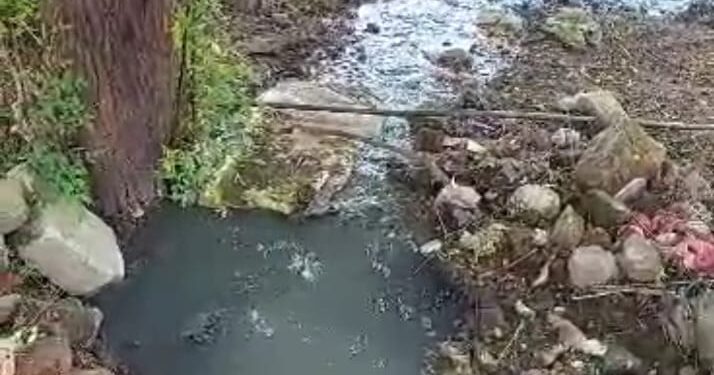 नंदूरबार शहरातील सहारा टाऊन ,शुभम पार्क येथे घाणीचे साम्राज्य ,न.पा प्रशासनाचे दुर्लक्ष