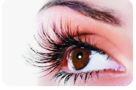 वाहनचालकांसाठी मोफत आरोग्य, नेत्र तपासणी: किरण बिडकर