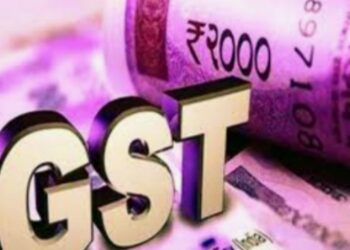 नंदूरबार जिल्ह्यातील जीएसटीच्या पथकांची छापेमारी