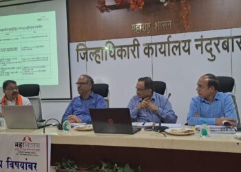 वीज ग्राहकांना निर्धारित मानकांप्रमाणे सेवा द्यावी : विश्वास पाठक